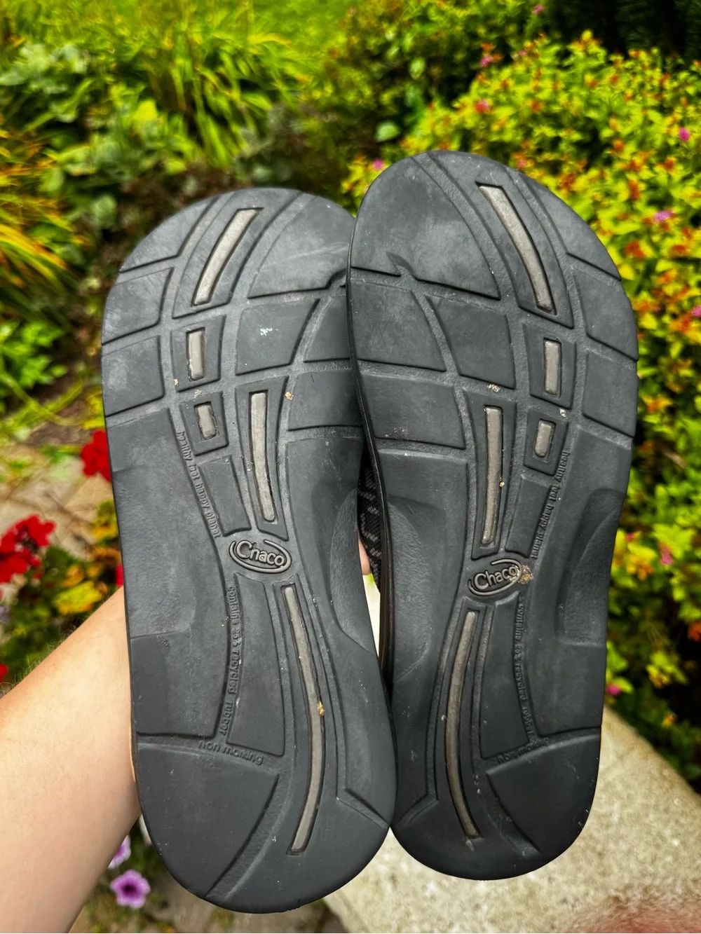 Teva image shows